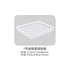 1號(hào)金線(xiàn)蓮組培盤(pán)